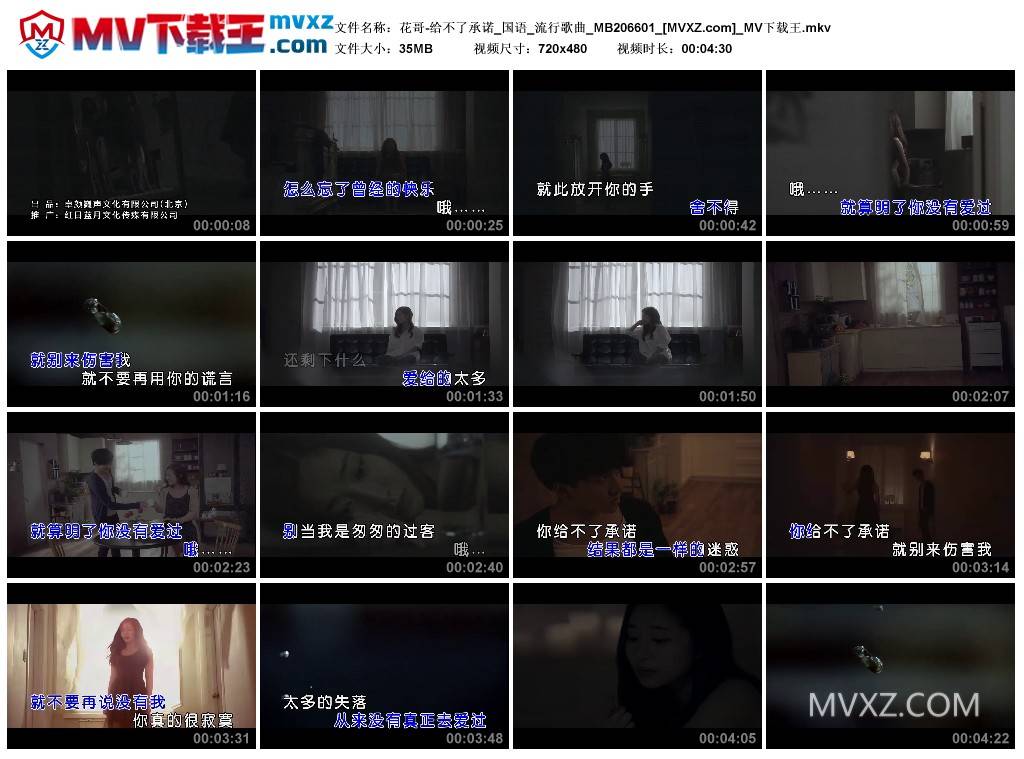 花哥-给不了承诺_国语_流行歌曲_MB206601